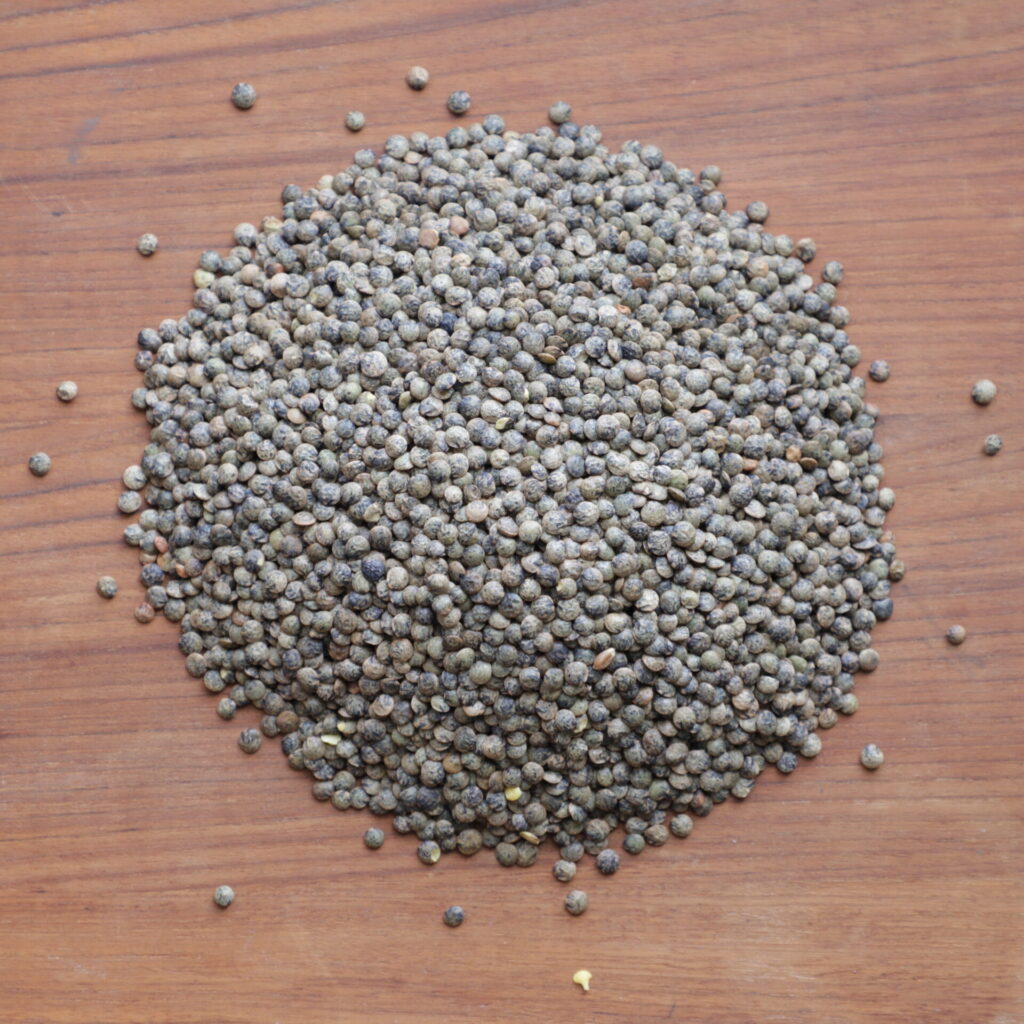 small mound of French green lentils on a brown wooden background and showing slight variations among lentils