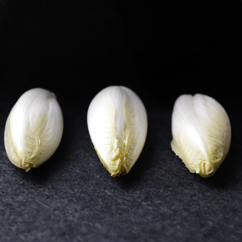 3 yellow endive heads emerging from the darkness on a dark gray cloth