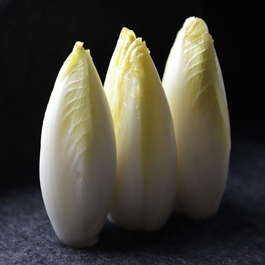 3 yellow endive heads standing upright on a dark gray cloth and lit from the side to show the vibrant yellow color of their tips and the paleness of their white ribs