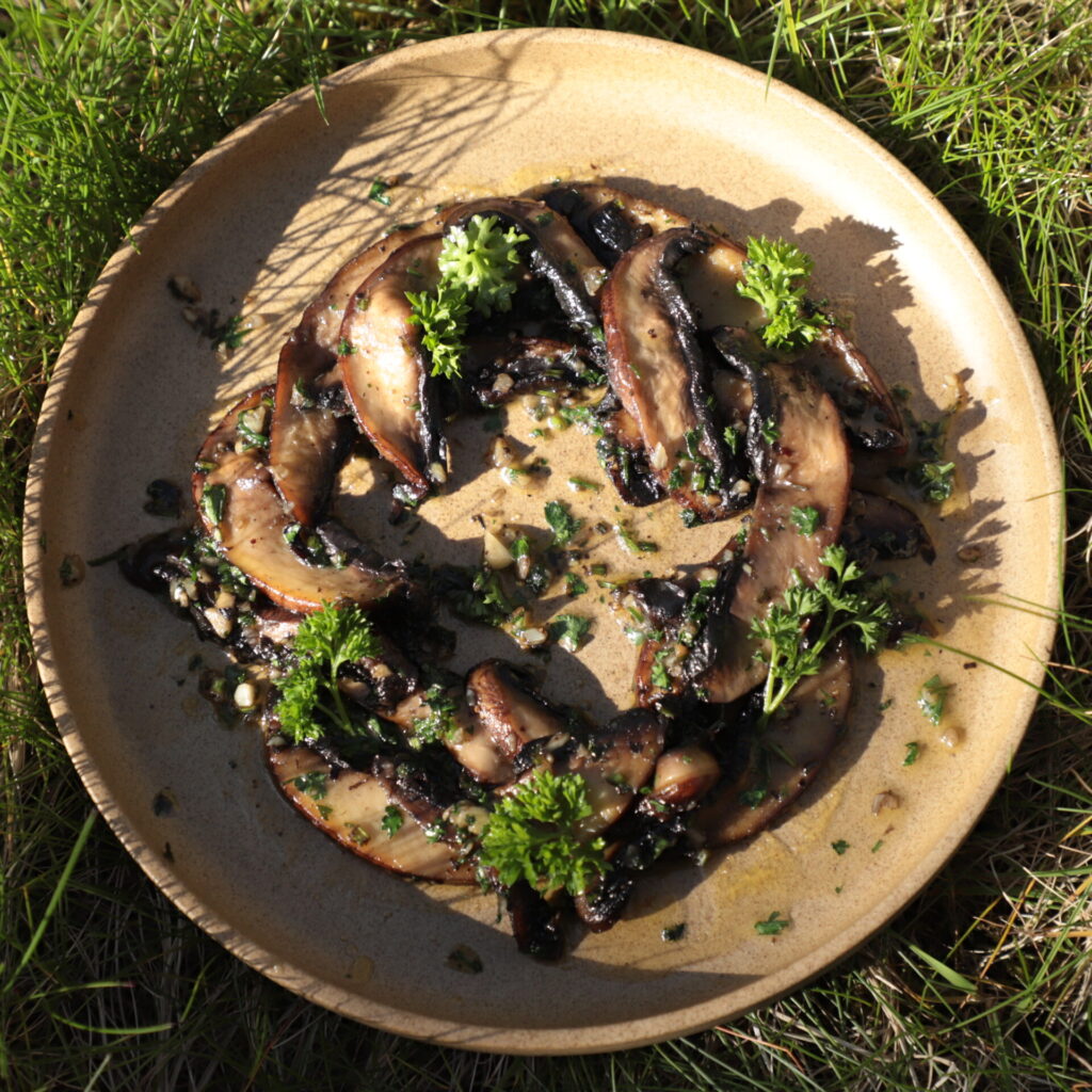 Top view of a brown ceramic plate in the grass and containing a circle of sautéed portobello mushrooms.